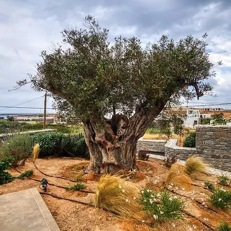 Вилла Grand Reve Paros *